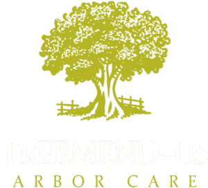 TreeMendus Arbor Care