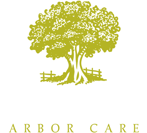TreeMendus Arbor Care