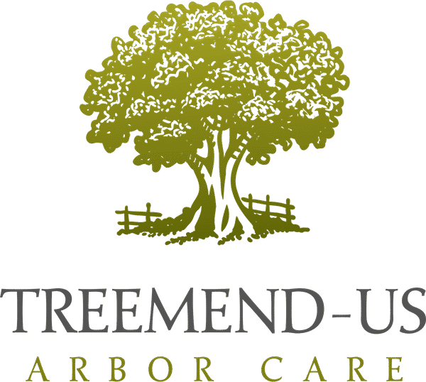 TreeMendus Arbor Care