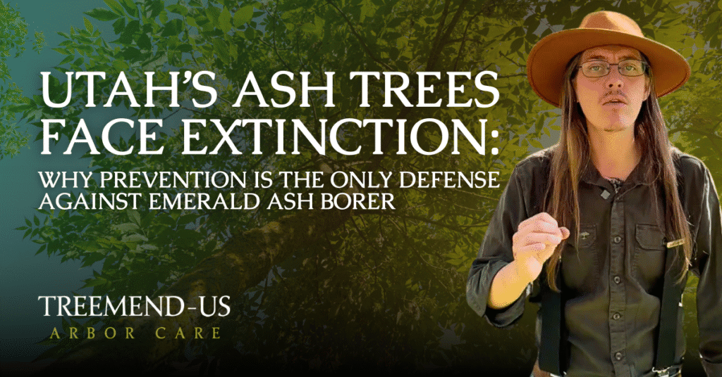 Blog 2 Utah’s Ash Trees Face Extinction- Why Prevention is the Only Defense Against Emerald Ash Borer