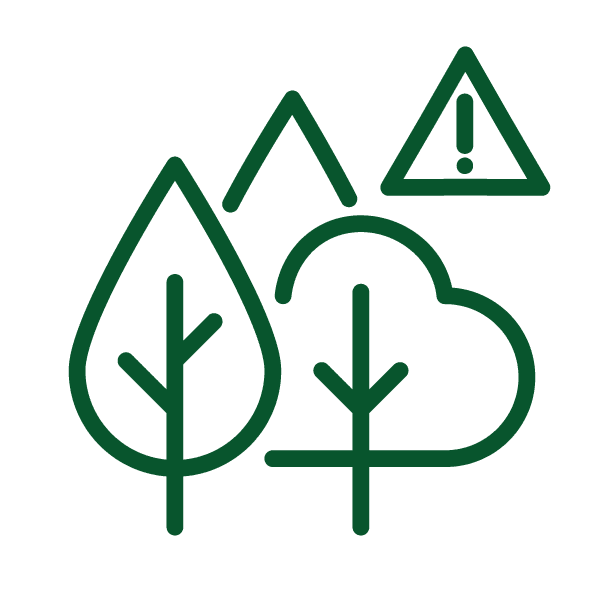 Tree Risk Assessment