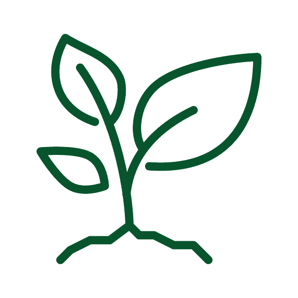 Tree Planting Programs