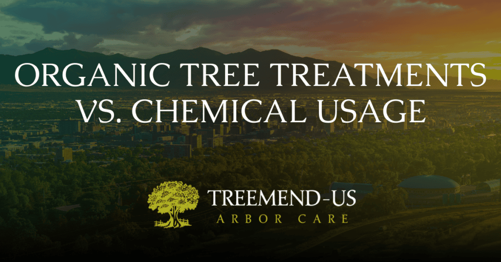 Blog 3 Organic Tree Treatments vs Chemical Usage