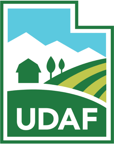 UDAF