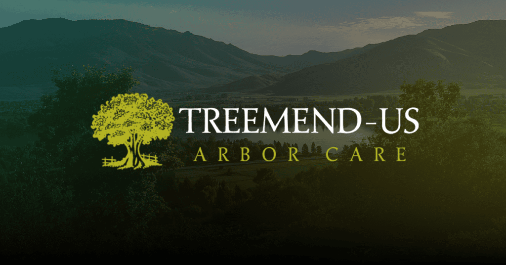 Blog 2 TreeMendus Arbor Care Utah