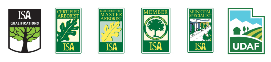 TreeMendus Arbor Care Certifications