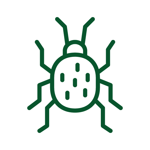 bark beetle treatments